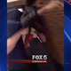 Image for article titled Another 14-Year-Old Slammed to Ground by Police Officers in School, This Time Over a Candy Bar